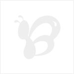 彩繪達(dá)人DIY數(shù)字油畫 江南水鄉(xiāng)系列5000款新品代理，廠家直供代發(fā)貨全攻略